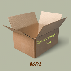Überraschungsbox - Jungs Größe 86 (1)